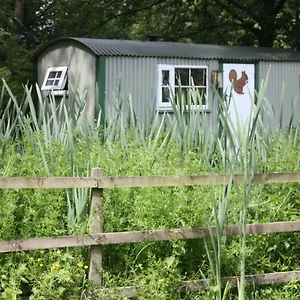  Holiday home The Squirrels Drey Shepherds Hut